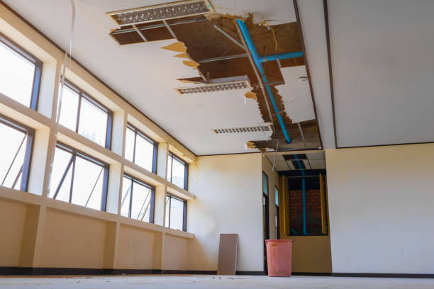 Best Fire Damage Restoration  in Roanoke, VA
