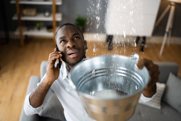 Best Ceiling water damage repair  in Roanoke, VA