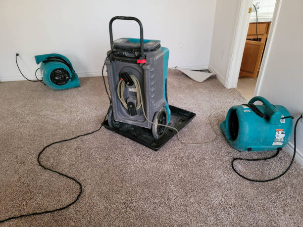 Best Water damage repair service  in Roanoke, VA