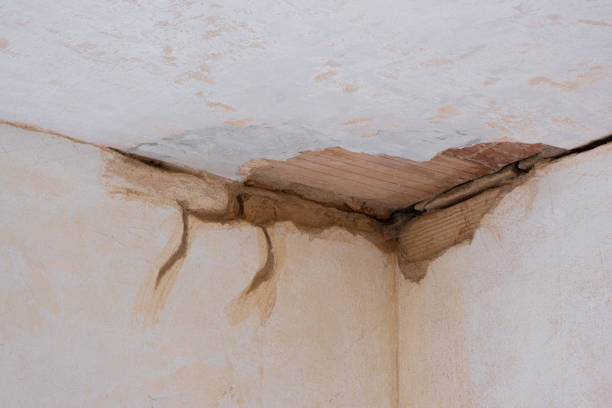 Best Basement water damage restoration  in Roanoke, VA