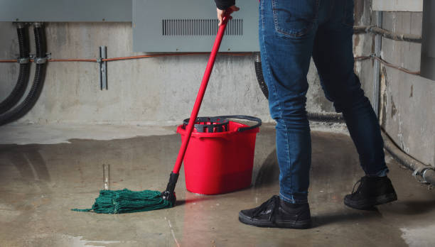 Best Flood damage cleanup  in Roanoke, VA