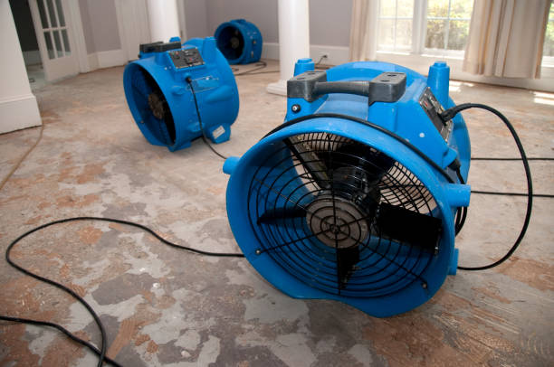 Best Commercial water damage restoration  in Roanoke, VA