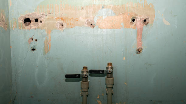 Best Water damage restoration near me  in Roanoke, VA