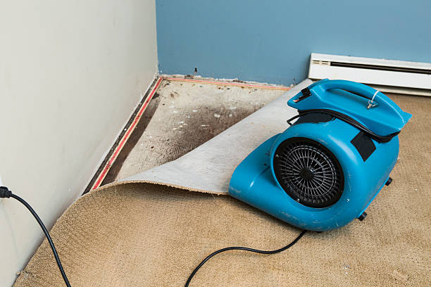 Sewage cleanup and water damage restoration in VA